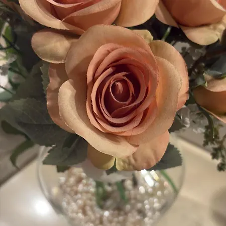 Second Flat Apartment Bologna