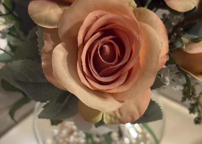 Second Flat Appartement Bologna